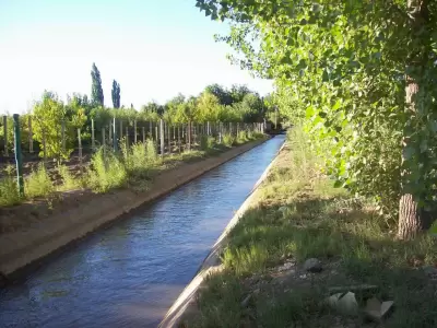 Canal de riego