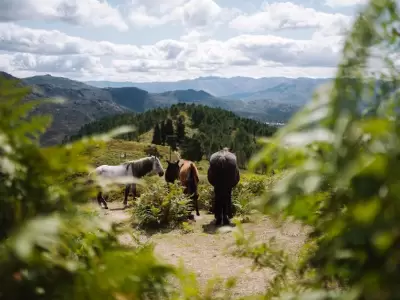 Desarrollo rural