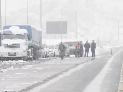 Anuncian nevadas en el Gran Mendoza para los prximos das