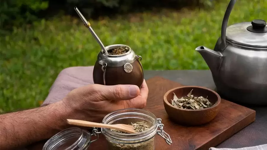 Mate