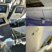 Viral: videos e imgenes del vuelo que provoc 30 heridos por una turbulencia