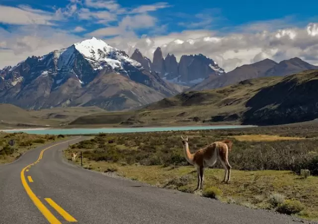 Ruta de la Patagonia.