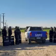 Perros atacaron y mataron a un nene de 9 años mientras jugaba en un descampado