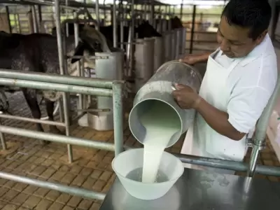 De SanCor a La Suipachense: el ocaso de las grandes l�cteas en medio de un boom exportador
