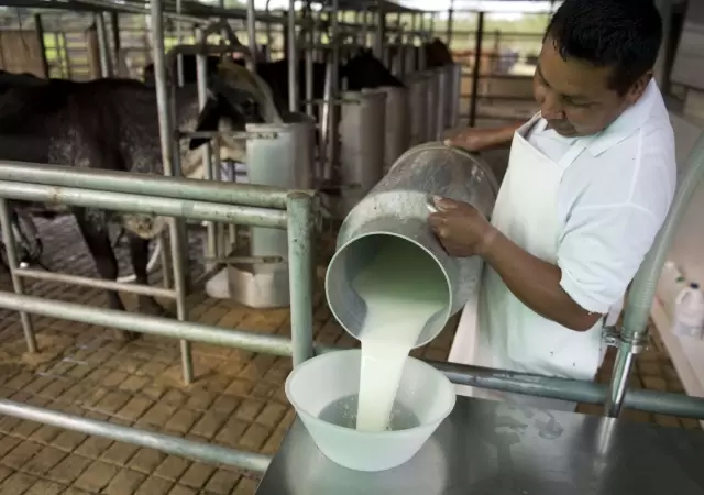 De SanCor a La Suipachense: el ocaso de las grandes l�cteas en medio de un boom exportador