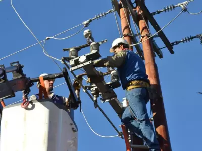 El mantenimiento de las redes, una de las permanentes preocupaciones de La Cooperativa, Empresa El�ctrica de Godoy Cruz.