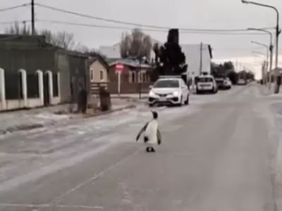 Una mujer grab� el momento y el video fue tomado por la cuenta del SMN.