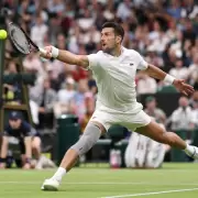 Djokovic gan en Wimbledon pero se pele con el pblico