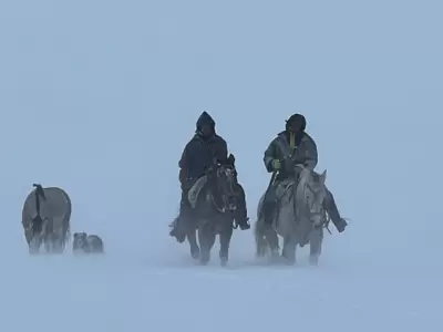 El temporal volvi en las ltimas horas en el sur argentino complicando el trabajo de los lugareos que luchan por perder su ganado.