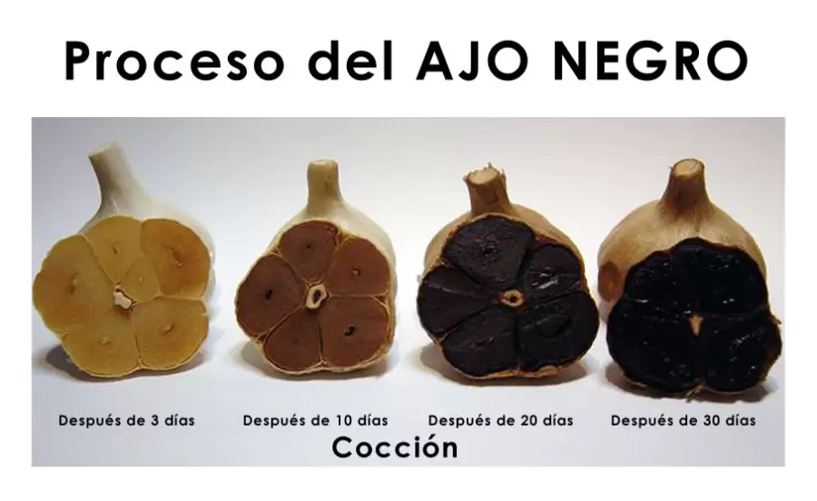 Ajo negro