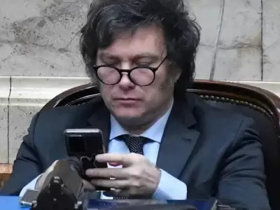 Javier Milei y sus expresiones en redes sociales.