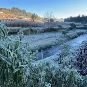 Helada negra: la amenaza oculta tras la ola polar que azota al pas