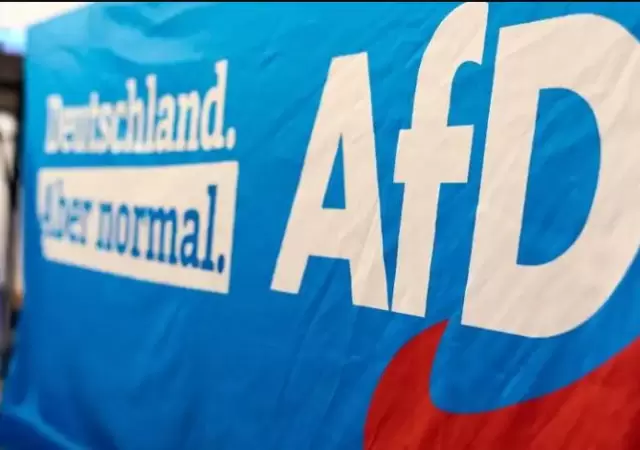 La formacin alemana de ultraderecha Alternativa para Alemania (AfD) busca tener peso en el Parlamento Europeo