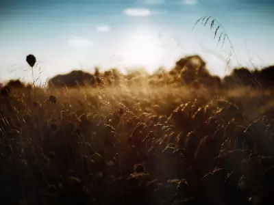 Campo argentino.