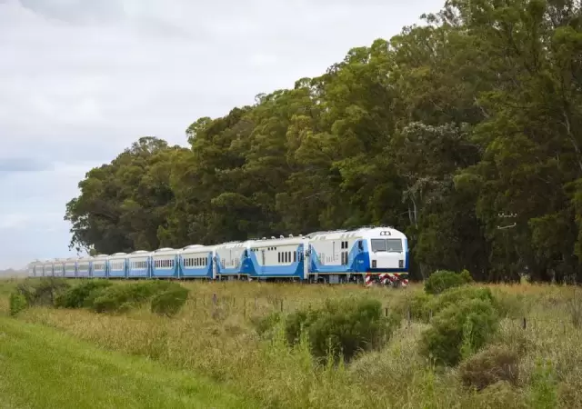 Trenes argentinos.