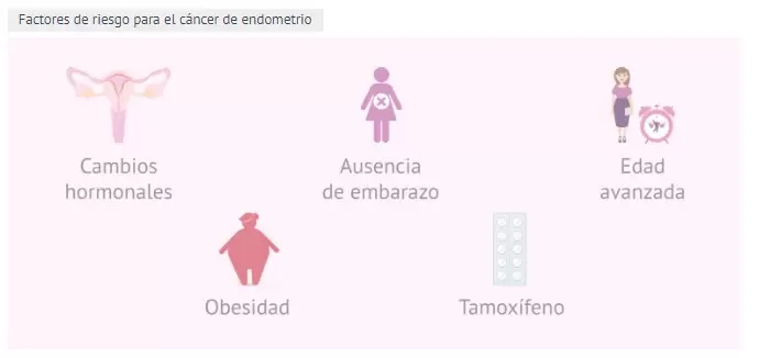 Factores de riesgo para el cncer de endometrio