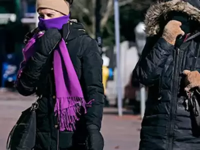 Mendoza bajo cero! La ola polar azota el pas con temperaturas extremas