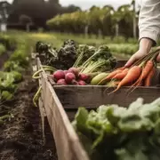 Mendoza busca una ley clave para semillas de alta calidad para mayor rentabilidad agr�cola