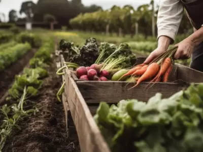 Agricultura