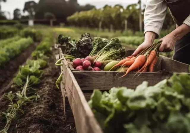 Agricultura