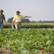 Desde el Banco Nacin aseguran que los productores rurales confan en el peso argentino