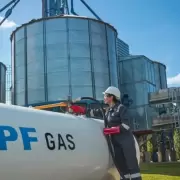 Los motivos por los que YPF y Petronas eligieron Ro Negro y no Buenos Aires