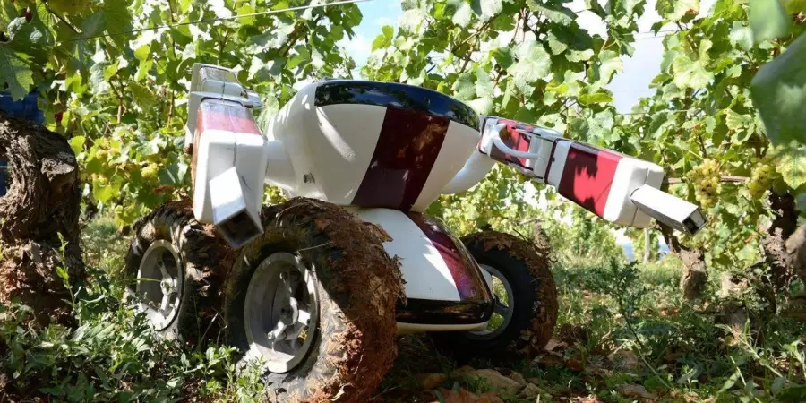 robotica-en-agricultura-1280x640