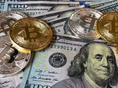 Bitcoins y billetes de d�lares estadounidenses. (Imagen: archivo web)