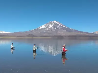 Se pueden realizar varias actividades.
