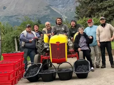 En 2017 lograron el primer buen vino, aunque hubo que sostenerlo en el tiempo y que esa calidad fuera creciendo.