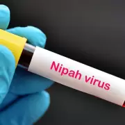 Adolescente muere por virus Nipah en India: una nueva amenaza pandmica?