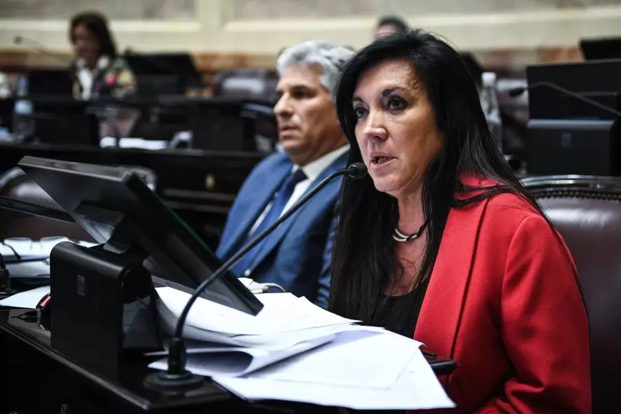 Diputada Laura Rodrguez Machado.