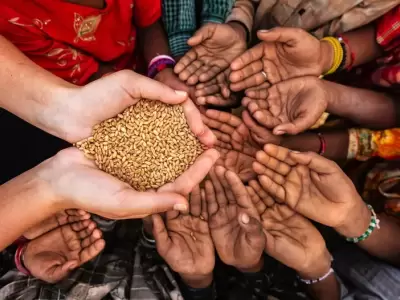 El hambre en el mundo se mantuvo alta por tercer ao consecutivo