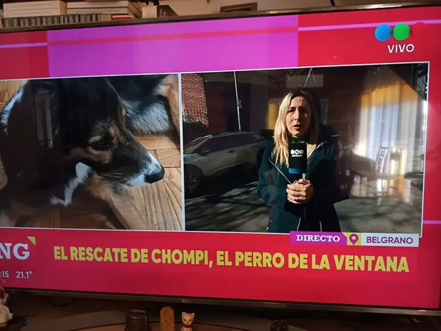 Rescate de un perrito en CABA