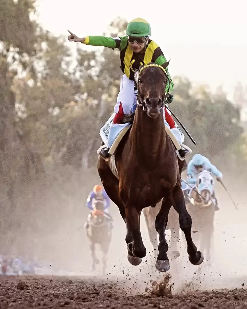 Gran carrera en el Hipdromo provincial