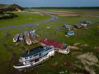 La cuenca del Amazonas sufre la peor sequa de su historia