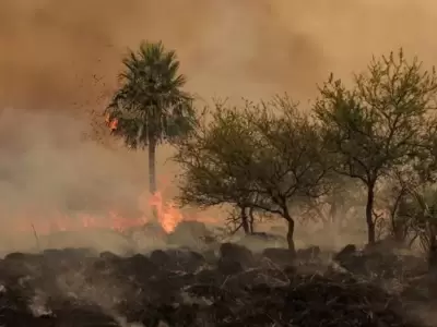 Los incendios golpean a Corrientes