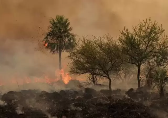 Los incendios golpean a Corrientes