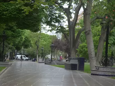 Arboledas en las plazas de Mendoza