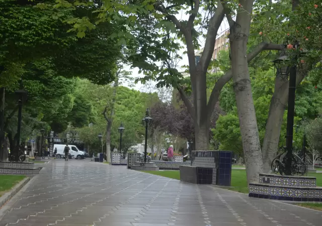 Arboledas en las plazas de Mendoza