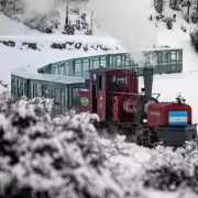 Video imperdible: despejando la nieve de las vas del Tren del Fin del Mundo