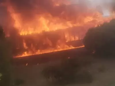 Un hombre muri en un incendio y una mujer qued en grave estado