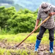 Acuerdo salarial: un importante gremio logra aumento por cuarto mes consecutivo