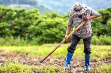 Acuerdo salarial: un importante gremio logra aumento por cuarto mes consecutivo