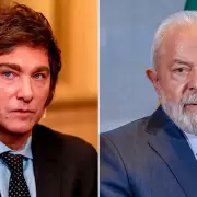 Milei le agradeci a Brasil por asumir la representacin diplomtica en Venezuela