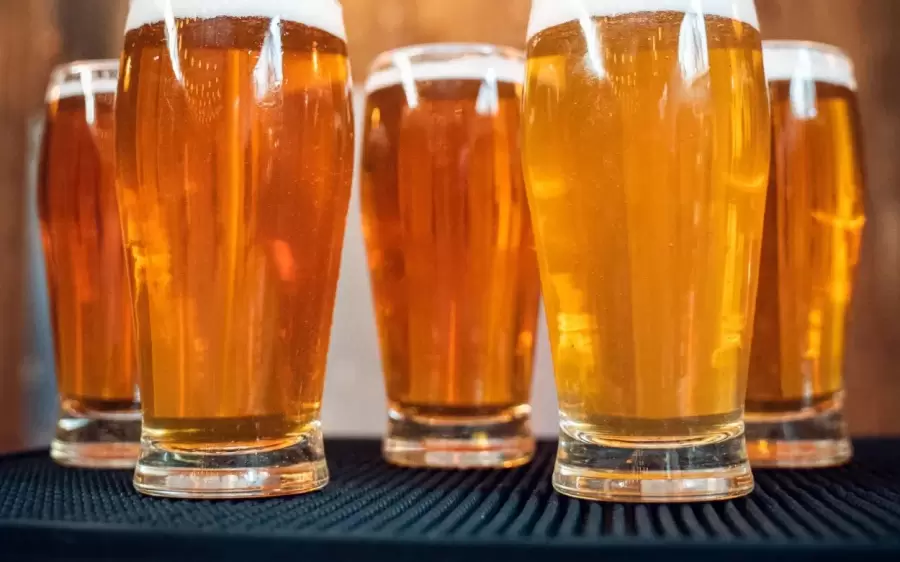 Cerveza IPA.