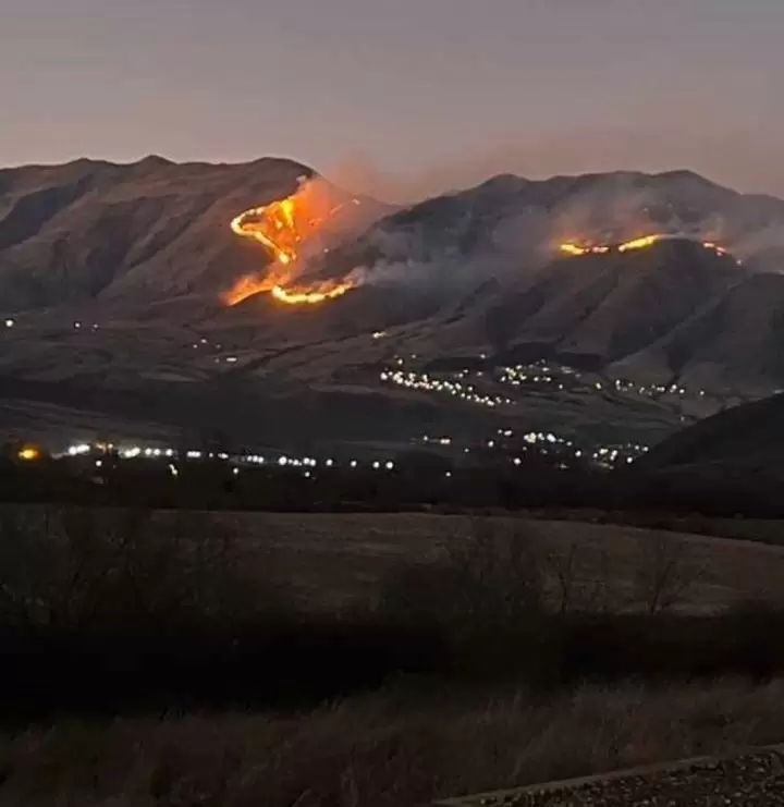 Incendios en Taf del Valle