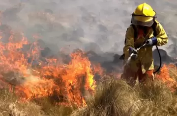 Sigue activo el foco de la Quebrada de la Mermela. Ms de 150 bomberos voluntarios trabajaron toda la noche en la zona.