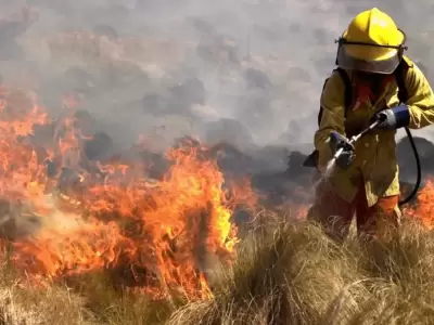 Contina el trabajo de bomberos y equipos de apoyo. Unas 800 personas se despliegan en los frentes. Llegan ms medios areos y brigadistas.