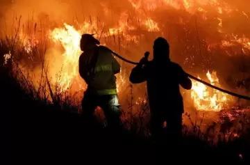 Incendios devastan el Norte argentino: Salta en alerta mxima